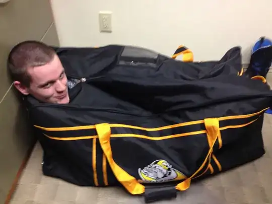 person in a bag