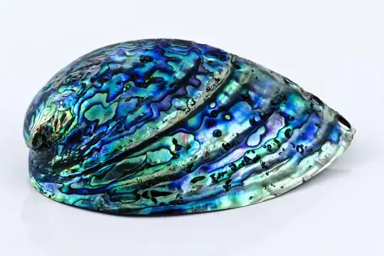 shiny