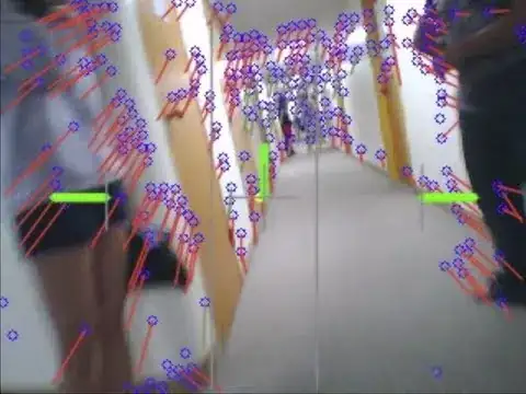 Optical Flow