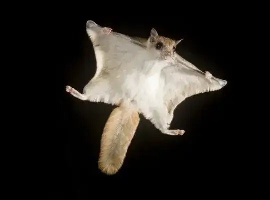 Weeeee!