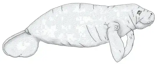 West Indian Manatee