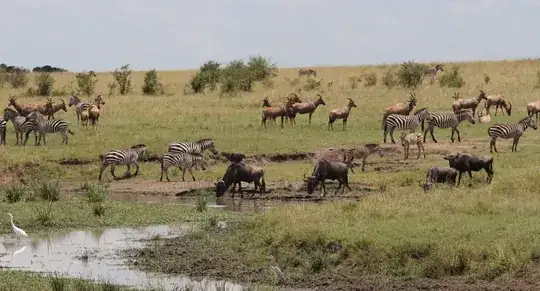mixed herd