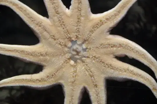 starfish