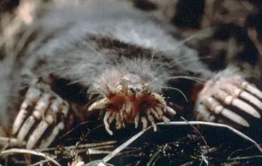 star-nosed mole
