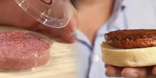 Photo of lab grown meat before and after cooking