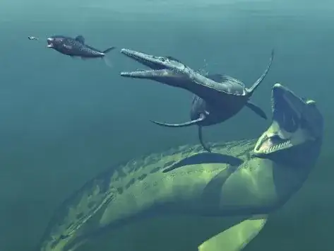 There's always a bigger fish! Atleast post-Ediacara