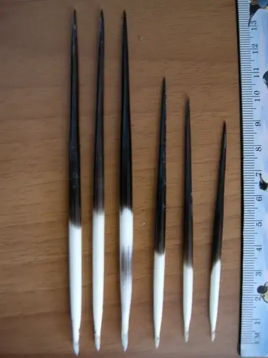 quills
