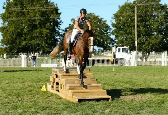 A horse going up and down a short flight of stairs