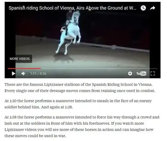 Lipizzaner horse attacking