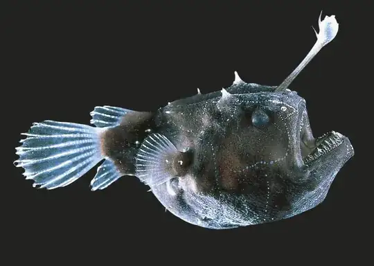 Angler Fish