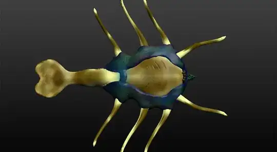 Bottom View