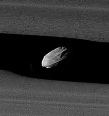 daphnis