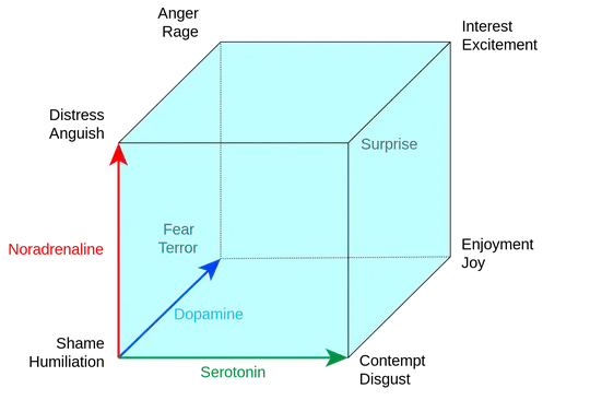 Lövheim cube of emotion showing emotions with different levels of three major neurotransmitters. NB: The direction of the arrow implies increasing quantity.