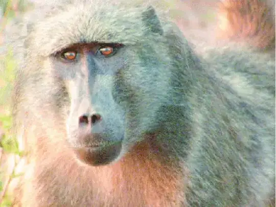 baboon