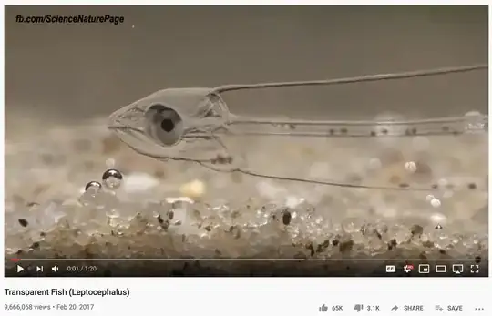 transparent fish