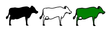 Blockquote