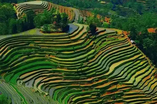 Image from http://weshareinterests.com/?p=876