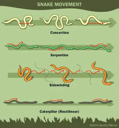 Is a group of snakes called a slither? Because it should be.