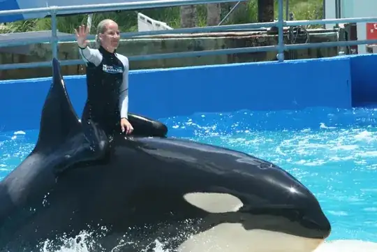 Orca