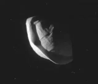 Pan
