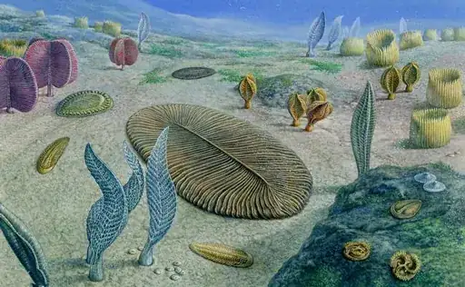 Weird sea creatures