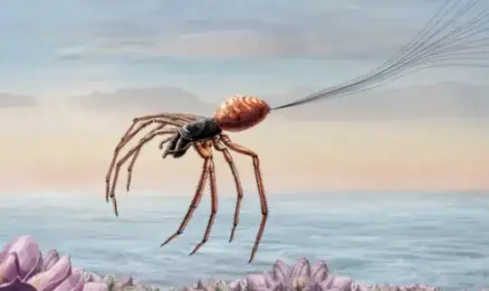 Spider ballooning