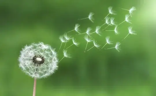 seeds blowing