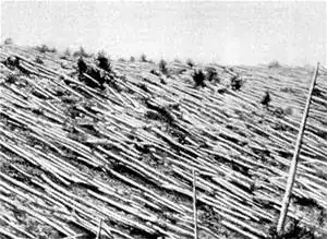 Tunguska event