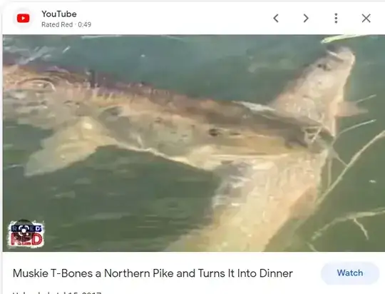 muskie eats pike