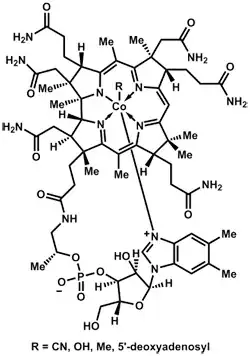 vitanin B12